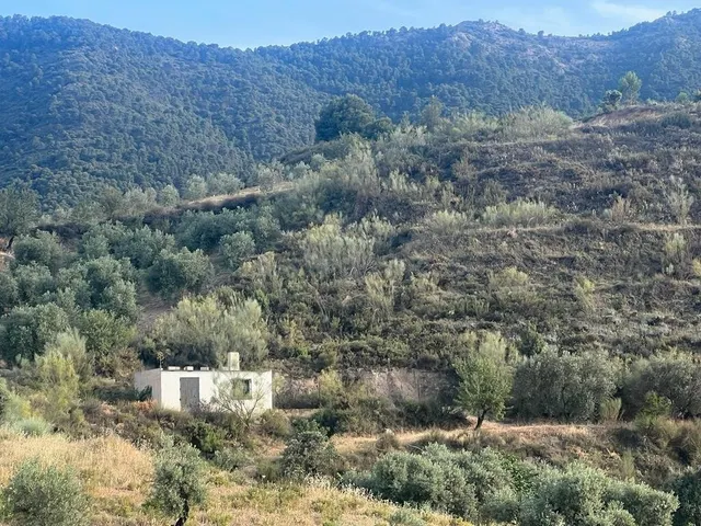 Paraje de los castillos - Restabal - foto 2