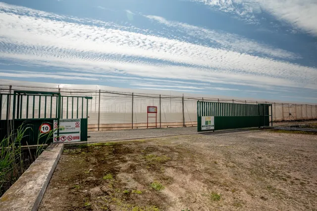 Explotación agrícola de regadío de 11ha en pleno rendimento: - foto 2