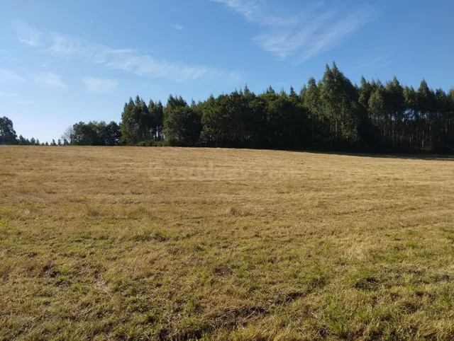 Finca rústica en Begonte, Lugo. - foto 3