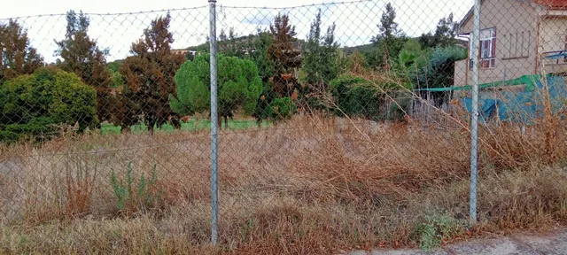 parcela - foto 4