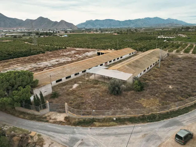 DOS TERRENOS RÚSTICOS CON MÁS DE 18.000M2 EN ORIHUELA (CARRE