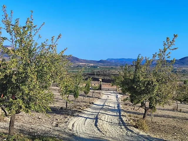 Se vende chalet /monovar / listo para vivir / arboles frutales — 8