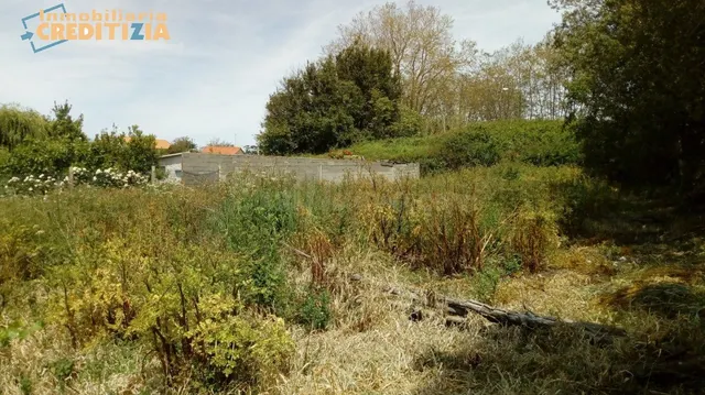 FINCA RUSTICA - foto 3