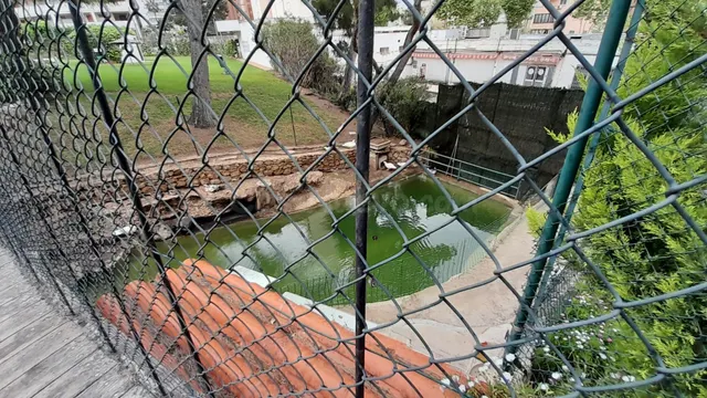 Apartamento reformado con piscina y parking comunitario — 32