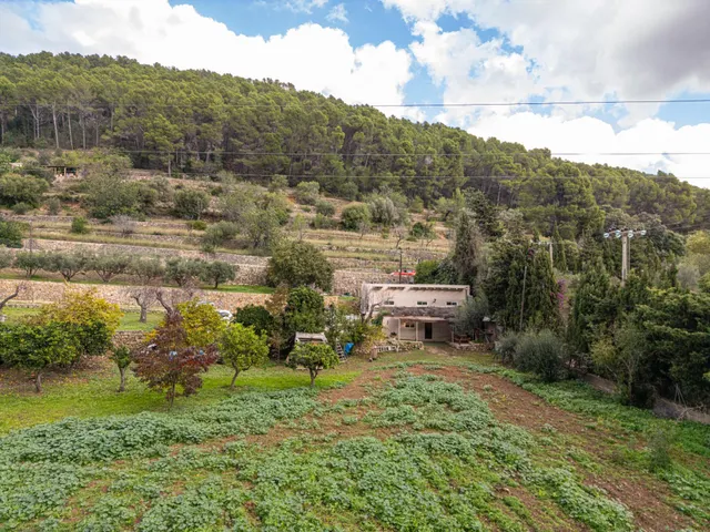 Finca rústica con terreno y casa reformada — 40
