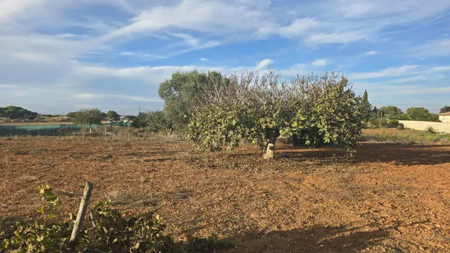 PARCELA -SEGREGADA CON REFUGIO EN ZONA PINAR DE LOS FRANCESES — 20