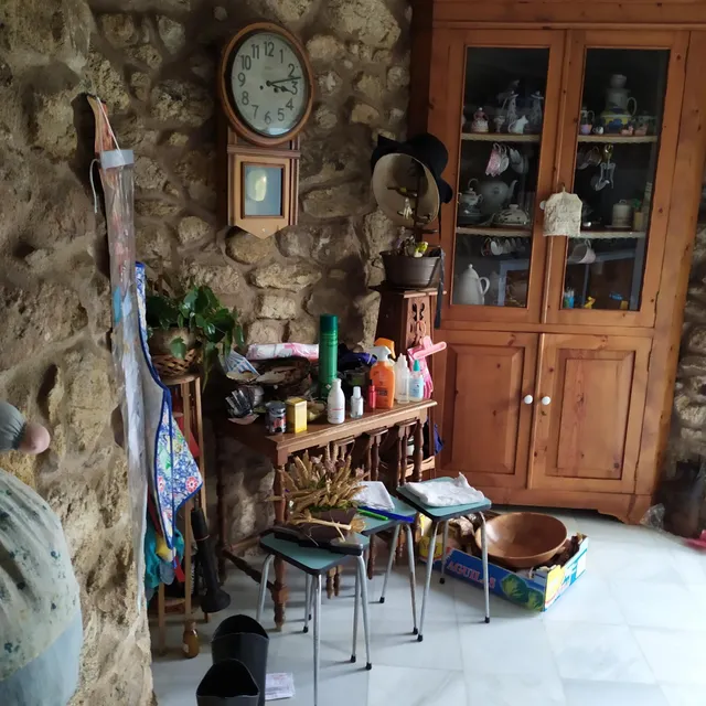 SE VENDE CASONA SINGULAR CON TERRENO DE 22.000 MTS EN OZA — 29