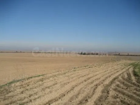 Finca rústica 999999m² en venta - Marchena