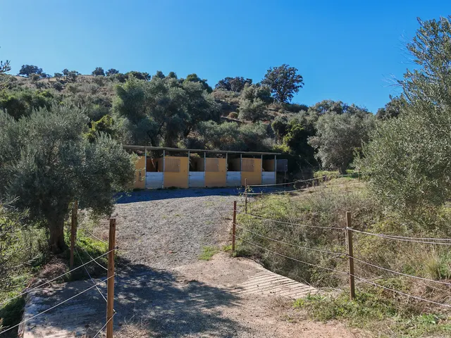 Finca rústica 4 habitaciones 360m² en venta - South of spain — 7