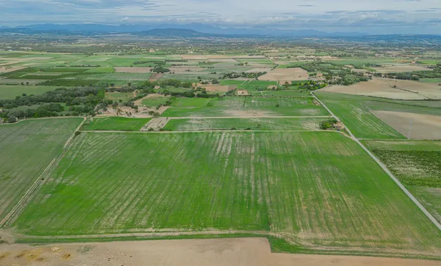 Gran terreno edificable en las afueras de Manacor
