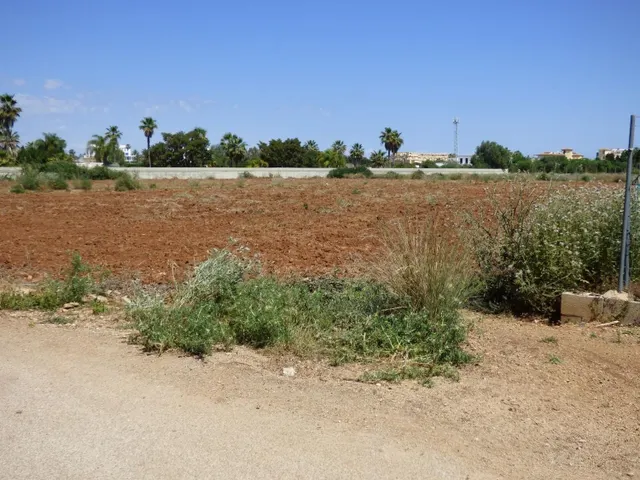 Terreno rural en venta - La Pedrera-Vessanes — 7