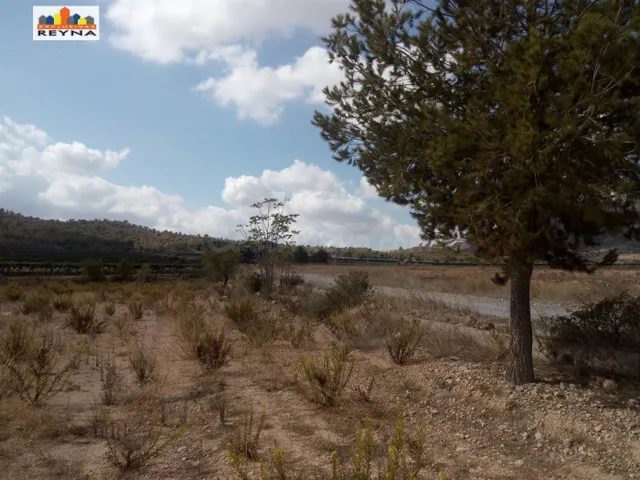 SE VENDE PARCELA RÚSTICA EN LAS AFUERAS DE ASPE IDEAL PARA A - foto 3