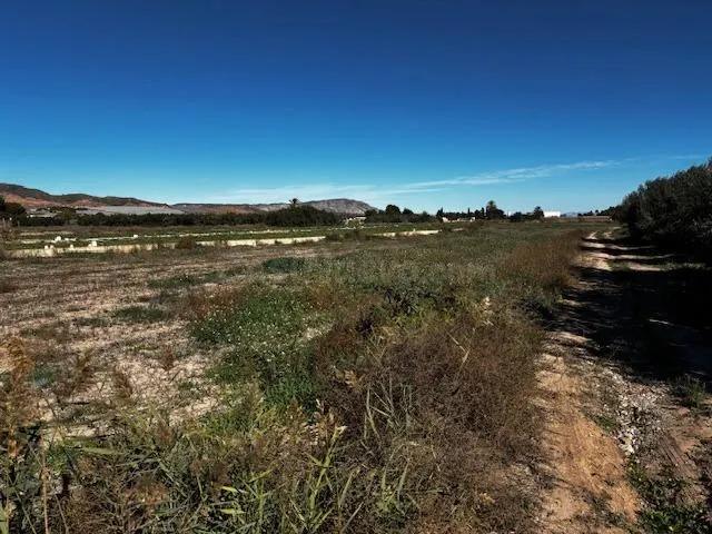 MAGNÍFICO TERRENO EN CAMINO HUERTOS NUEVOS - foto 2