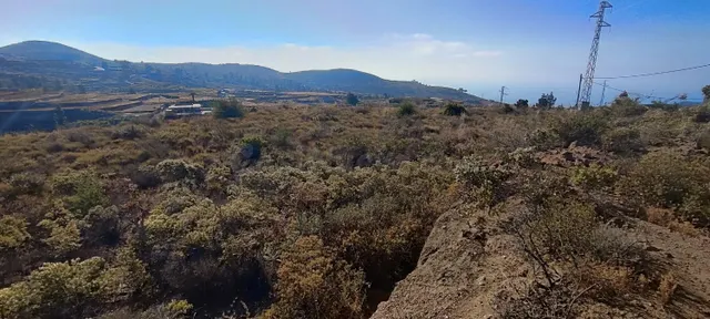FINCA AGRÍCOLA EN GRANADILLA DE ABONA. - foto 3