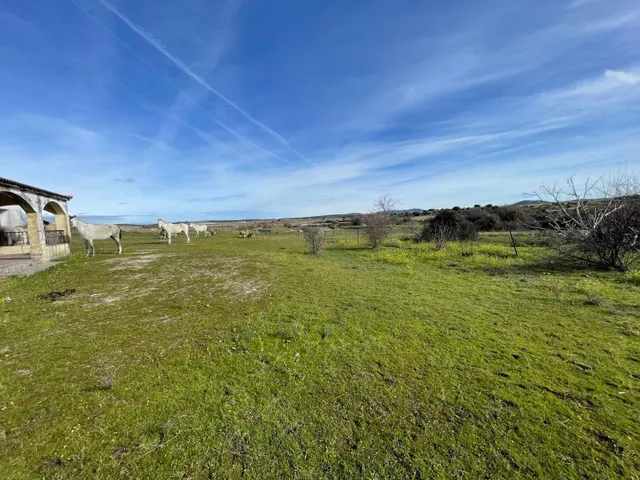 TERRENO DE 30 HECTÁREAS CON VIVIENDA DE UNOS 50 METROS ENTRE CÁCERES Y MALPARTIDA DE CÁCERES — 24