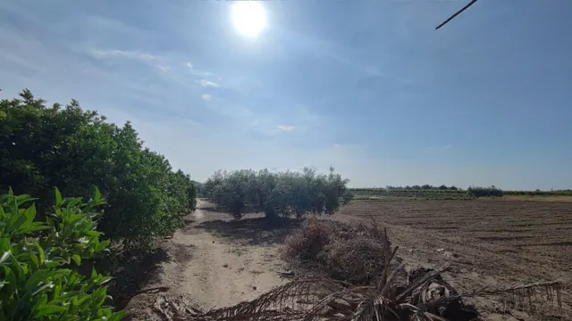 SE VENDE CASA DE CAMPO CON 42.000 M2 DE PARCELA. — 12