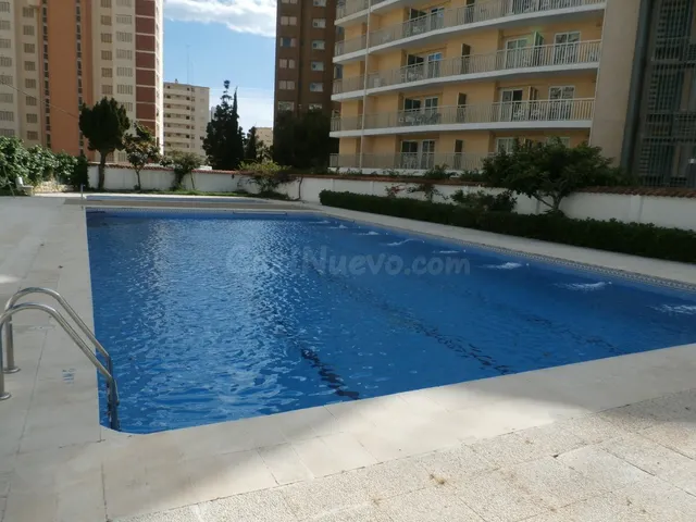 Alquiler de larga temporada en Benidorm — 3