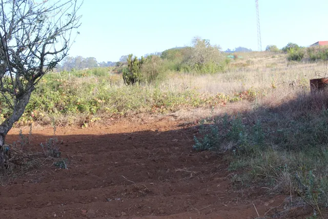 SOLAR URBANO CON FINCA RUSTICA — 6