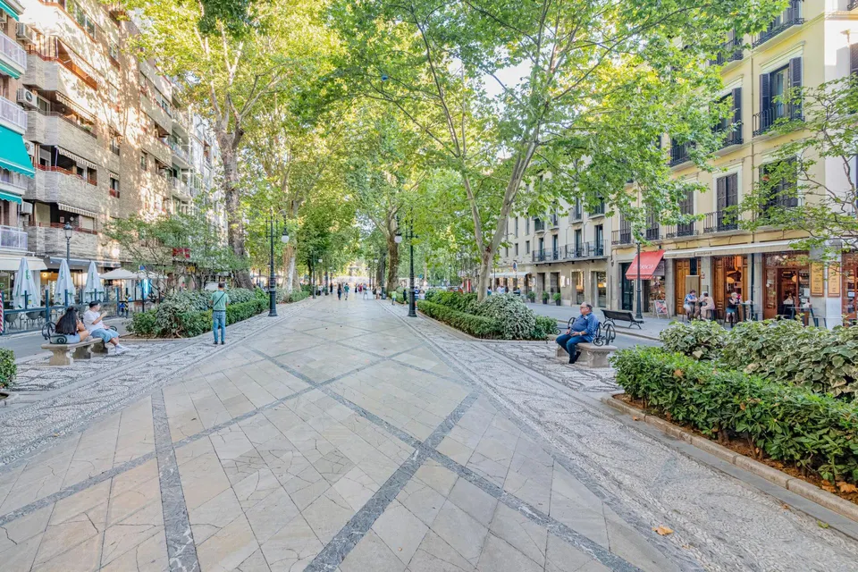 ¡Tu Nuevo Hogar te espera!  Semi-ático Reformado con Gran Terraza, junto Virgen de Las Angustias