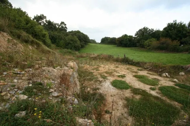 TERRENO URBANO/RUSTICO EN CONCHA - RUILOBA - foto 3