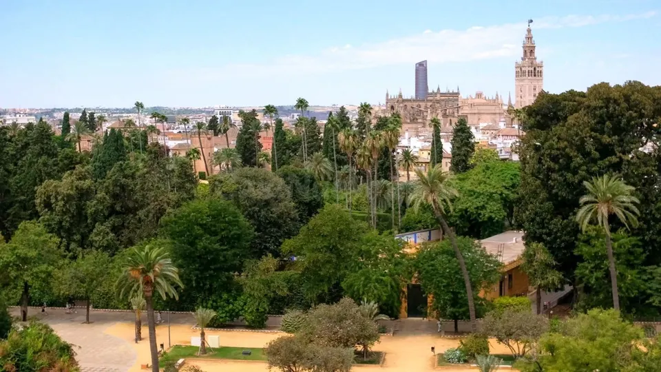 Espectacular activo patrimonial en venta: 5ª planta con vistas a los Jardines de Murillo y la Giralda.