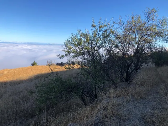 Terreno rústico con encanto y vistas espectaculares — Fasnia, Tenerife — 30