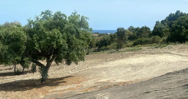 PARCELA PARA HACERTE LA CASA DE TUS SUEÑOS CON PROYECTO DE OBRA — 3