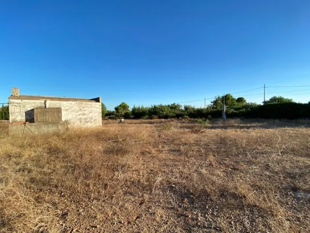 Fantástica finca a 1,5 km del mar en l'Ampolla — 16