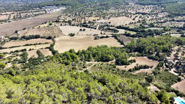 Terreno rústico de 10.000m2 en son quetlles, Felanitx — 17