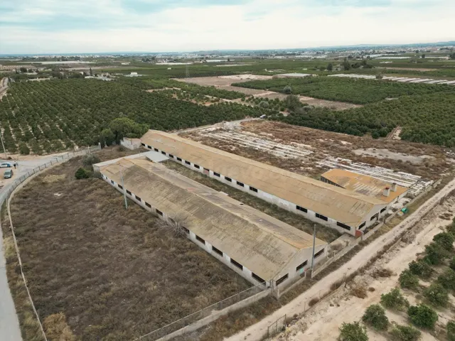 DOS TERRENOS RÚSTICOS CON MÁS DE 18.000M2 EN ORIHUELA (CARRE - foto 3