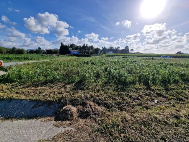 Parcela urbanizable de 1.967 m2 en El Franco, próxima a la c - foto 3
