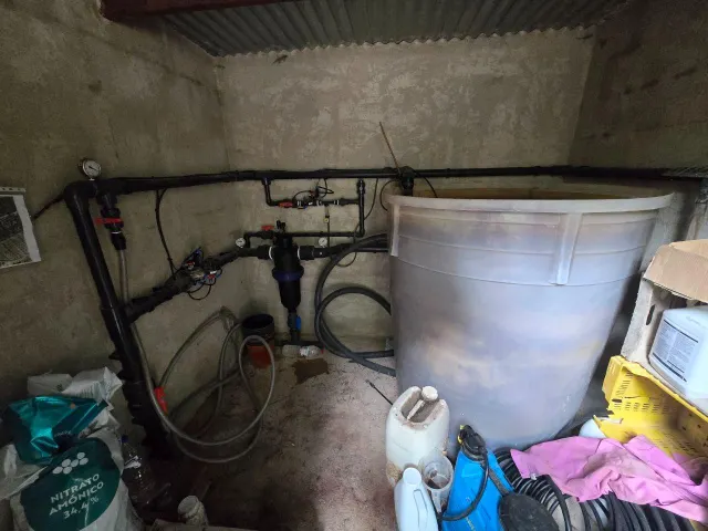 Finca rústica en Blanca | limoneros en producción y para construir vivienda — 13
