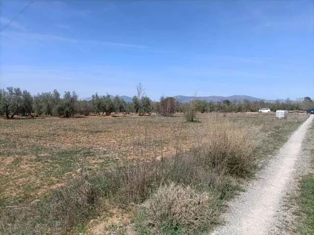 Finca rústica en venta — 9