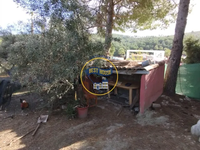 ¡¡¡OPORTUNIDAD!!! ENCANTADORA CASA DE CAMPO EN EXCLUSIVA EN ONTINYENT CON LUZ Y AGUA — 31