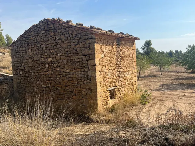 Finca con pozo productivo y maset en Valjunquera — 2