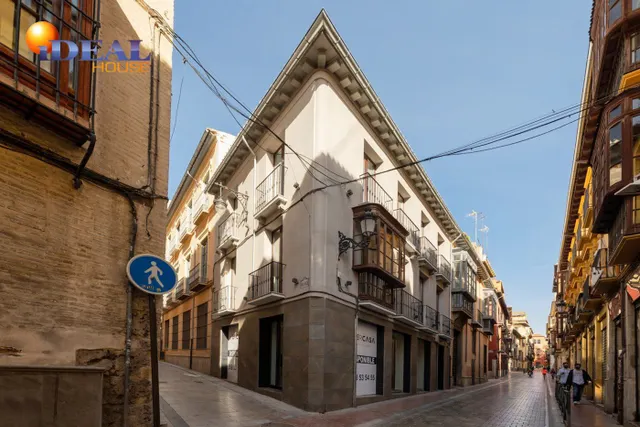 VENTA-ALQUILER DE EDIFICIO SINGULAR EN ESQUINA SAN MATIAS-NAVAS — 5