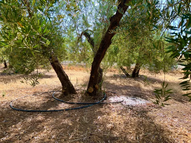 ALBOLOTE - PANTANO CUBILLAS — 27