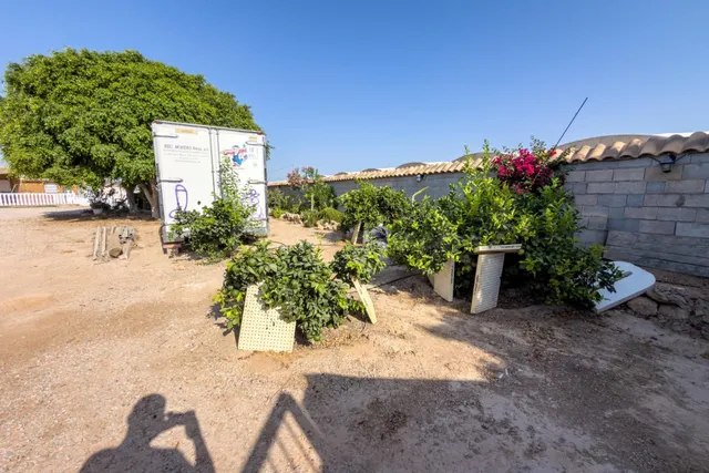Finca con varias viviendas y piscina en San Javier - foto 5