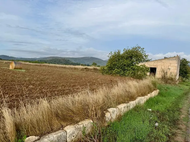 Terreno rural en venta - Pobla (Sa) — 4