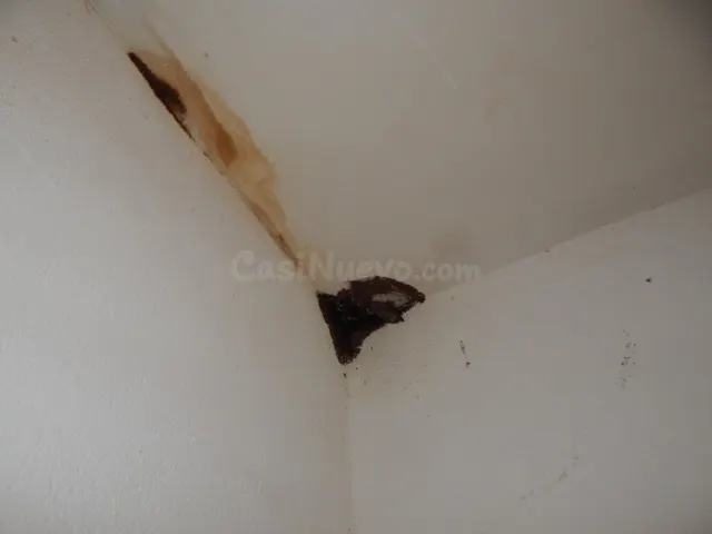 OPORTUNIDAD DE VENTA PLANTA BAJA EN ZONA CENTRO DE ONTINYENT - foto 5