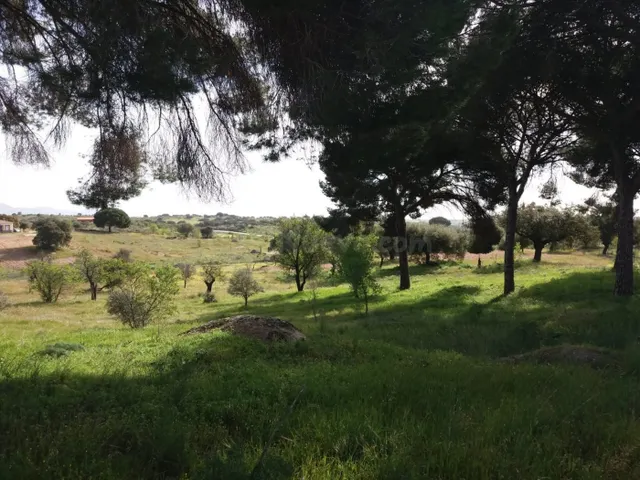 CHALET CON PARCELA - GARROVILLAS, CÁCERES - - foto 3