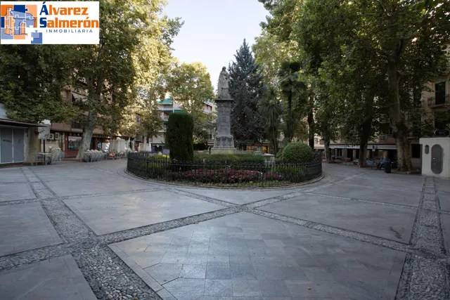 Piso en esquina con terraza y vistas a Plaza Mariana Pineda, Granada — 50