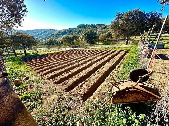 OBEJO - Finca de 8 hectáreas con casa de 110 m2 con 4 habita - foto 4