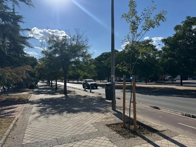 NUDA PROPIEDAD EN ZONA CÁMARA DE COMERCIO – GRANADA — 12