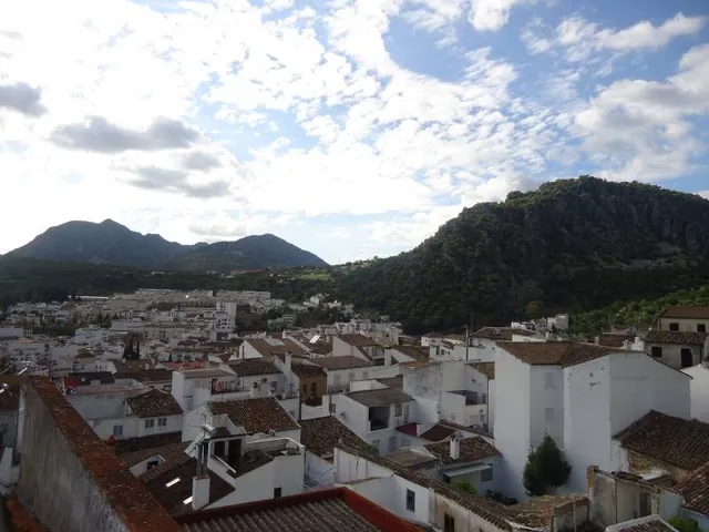 ZONA LA TORRE — 5