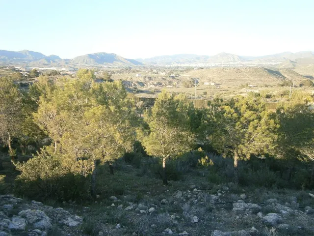 CASA DE CAMPO EN MONOVAR — 23