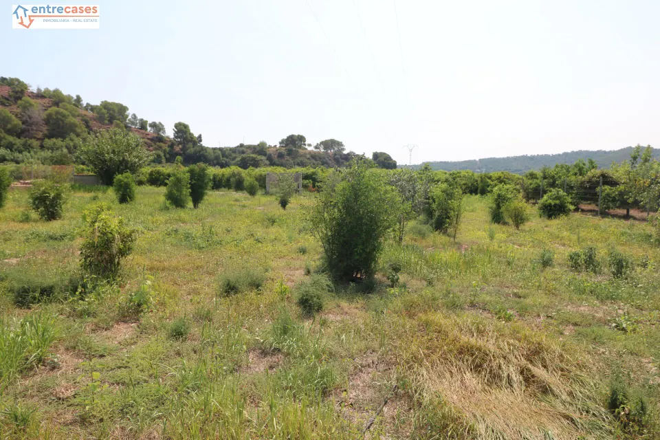 TERRENO DE 2 HANEGADAS ENTRE PETRES Y ALBALAT TARONGERS
