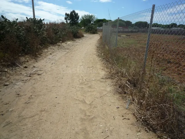 Terreno en el Pinar de la Villa cercano a la Ermita Virgen d