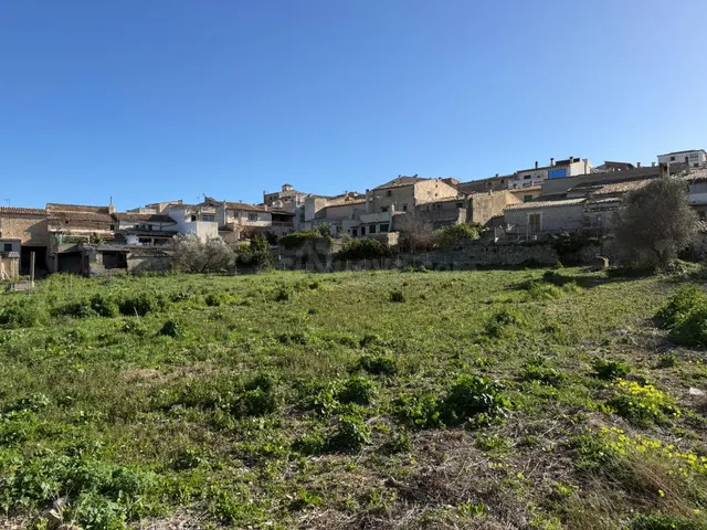 ️ SOLAR URBANO DE 446M EN MONTUÏRI: LICENCIA RÁPIDA - foto 4