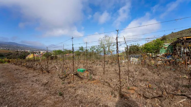 Terreno urbano en Tacoronte. — 26